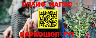 Альфа ПВП Апшеронск