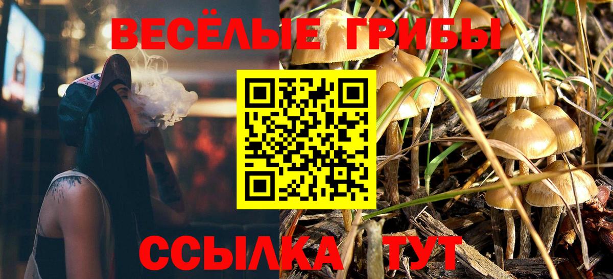 Галлюциногенные грибы мухоморы  Вход с VPN  Воронеж  Галлюциногенные грибы прущие грибы 